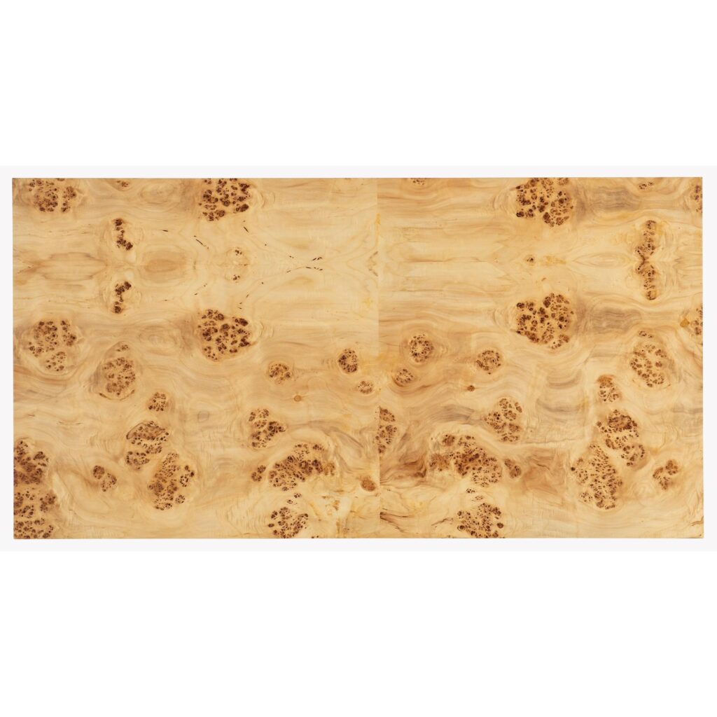 Auberon Burl Coffee Table - Image 3