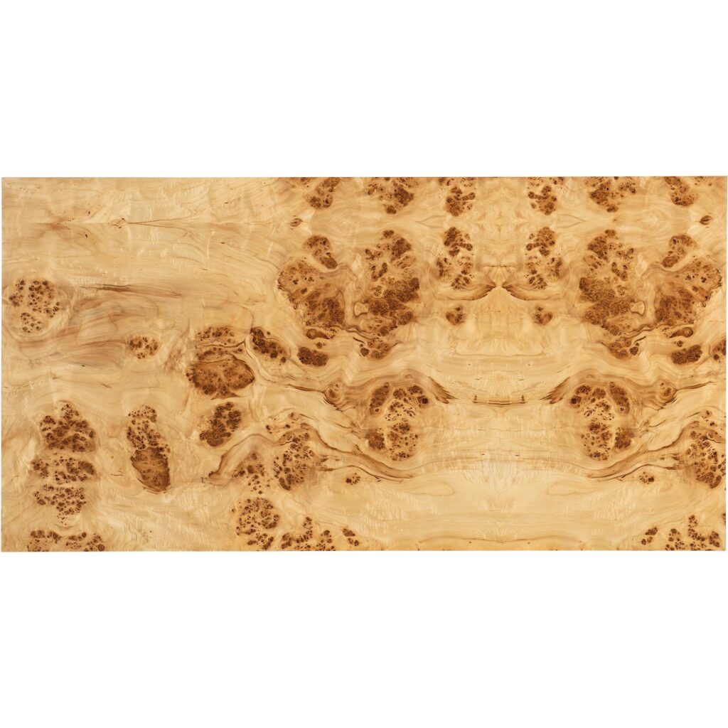 Auberon Burl Coffee Table - Image 6