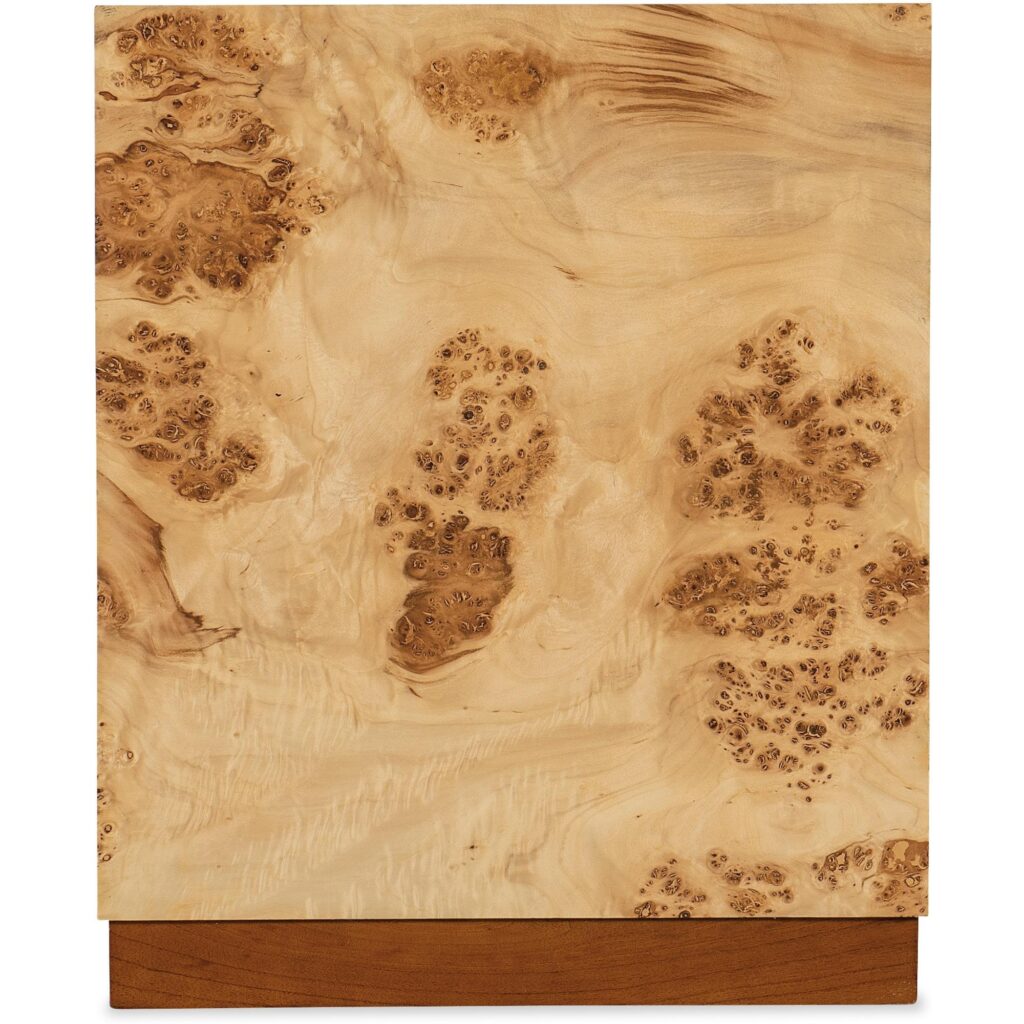 Auberon Burl Side Table - Image 2