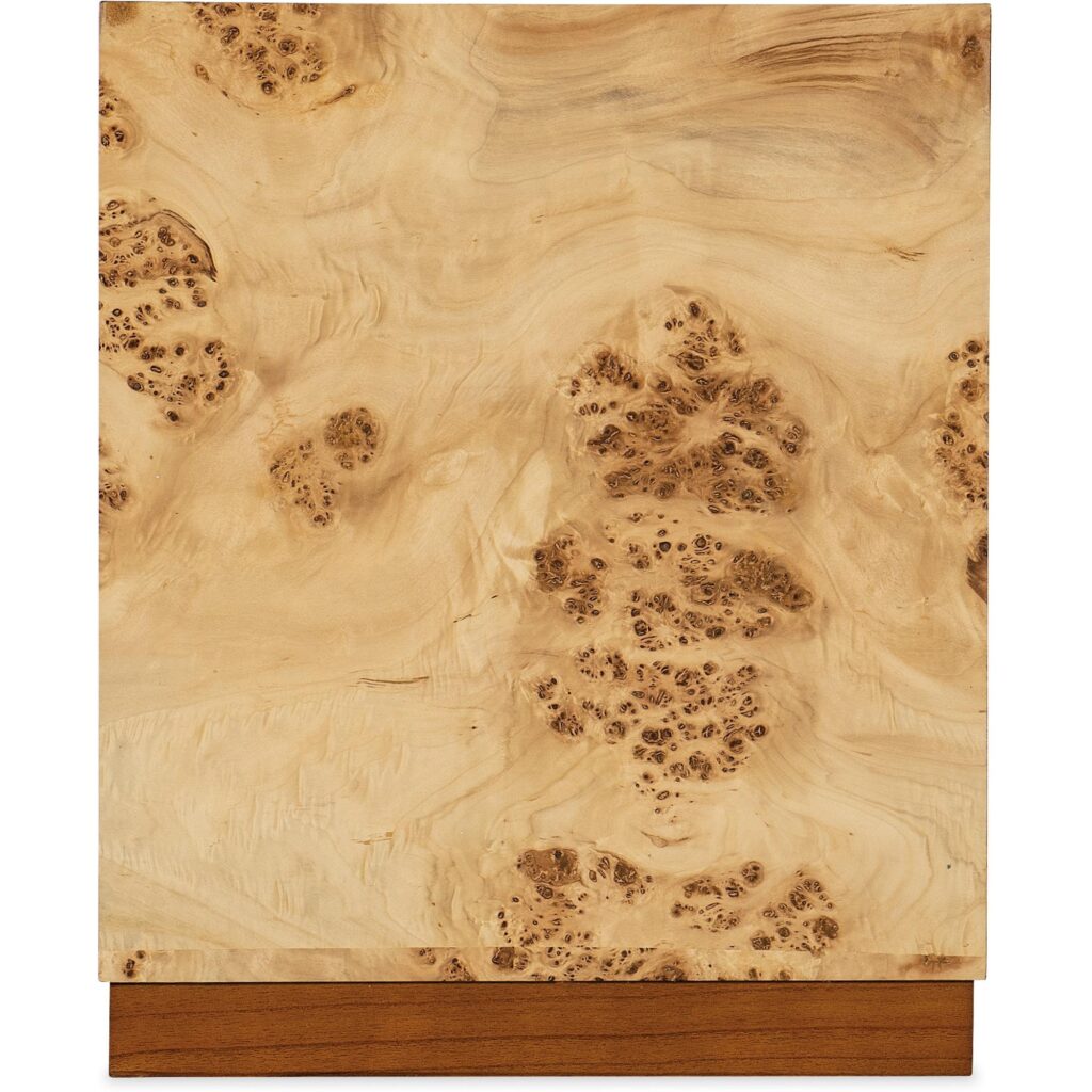 Auberon Burl Side Table - Image 5