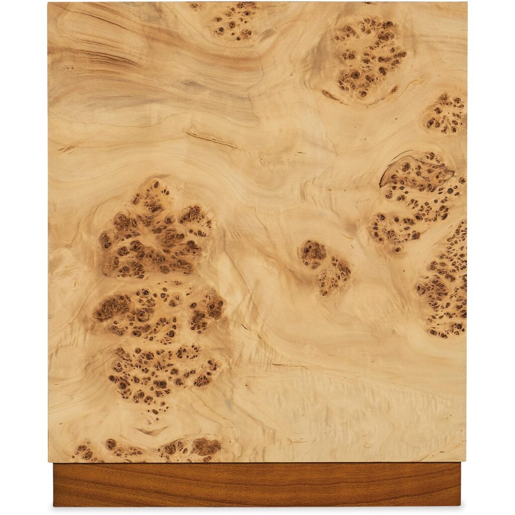 Auberon Burl Side Table - Image 8