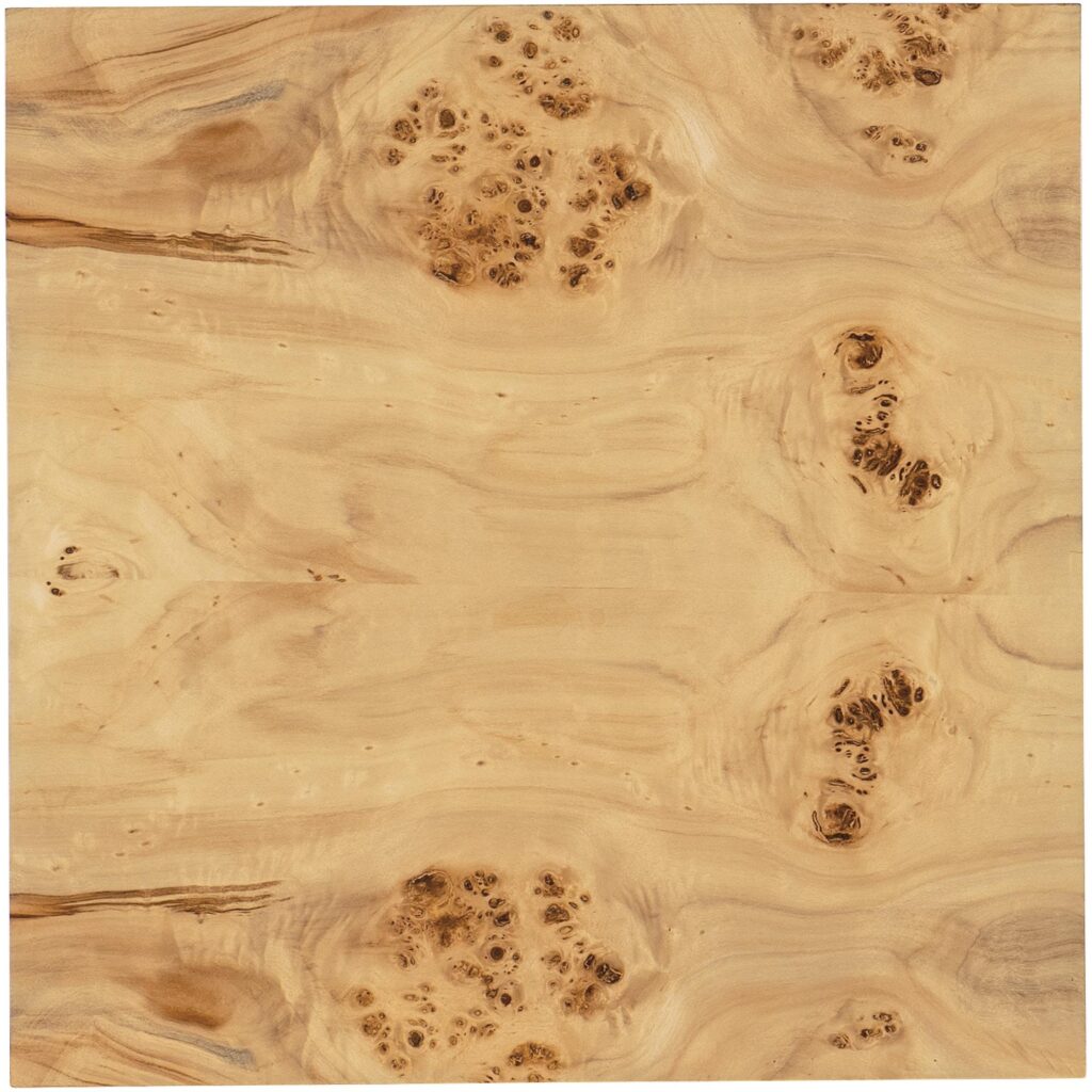 Auberon Burl Side Table - Image 6