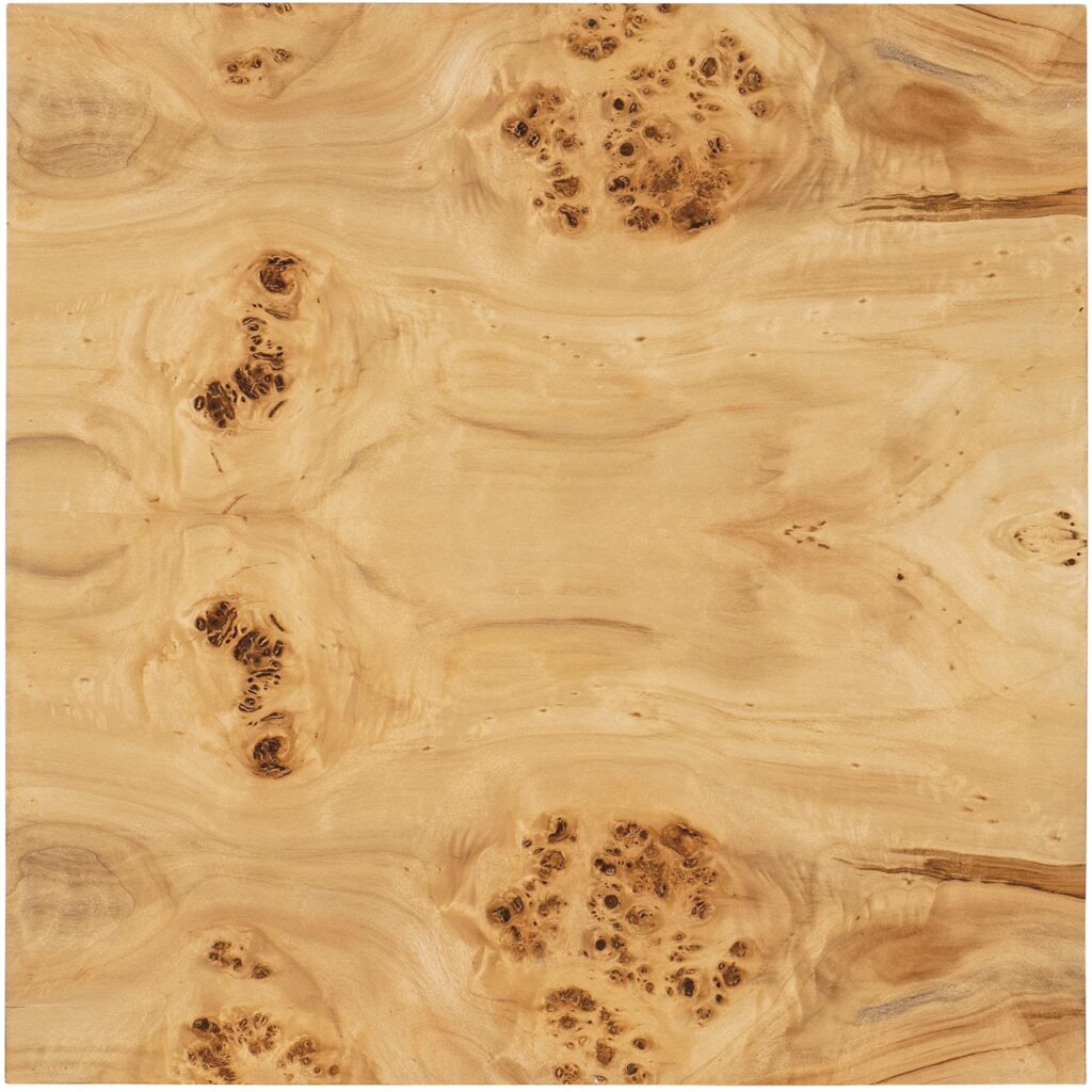 Auberon Burl Side Table - Image 9