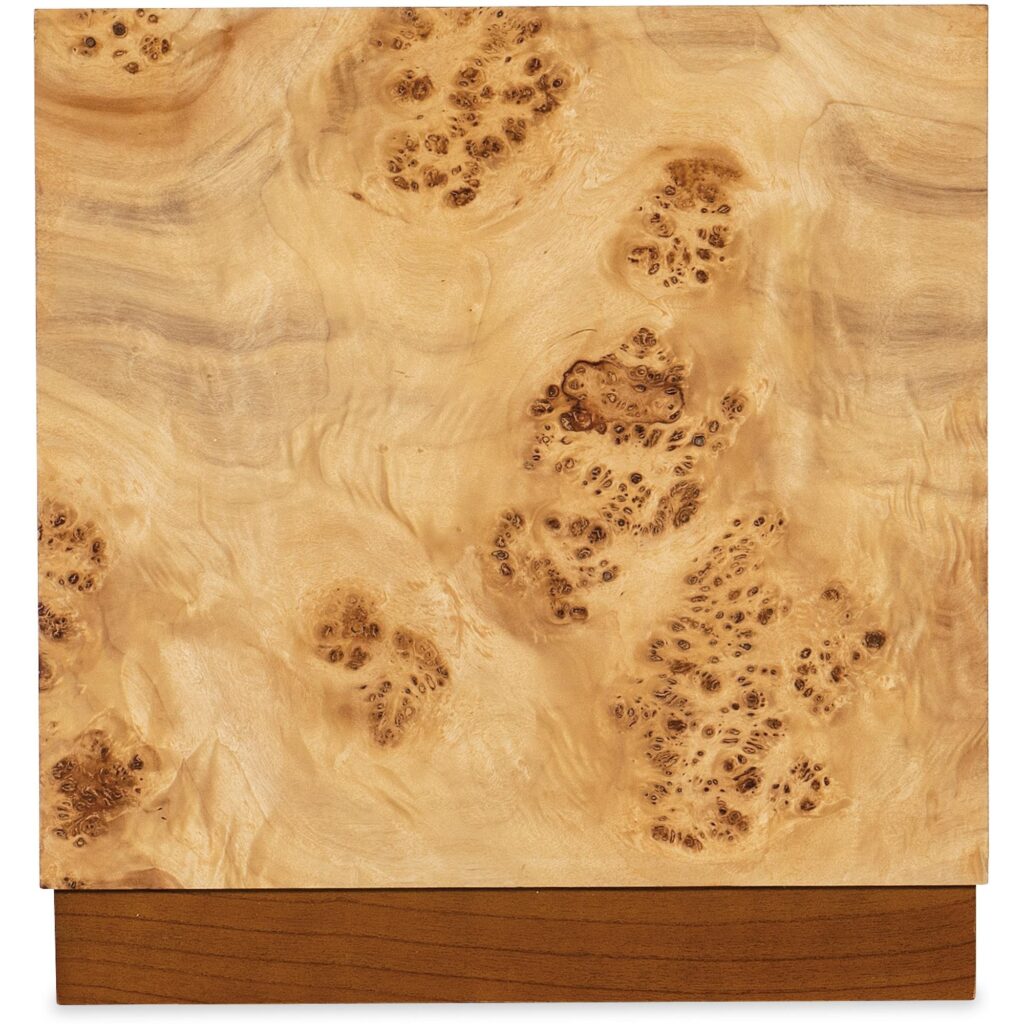 Auberon Burl Drink Table - Image 5