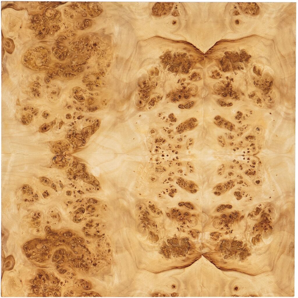 Auberon Burl Drink Table - Image 3