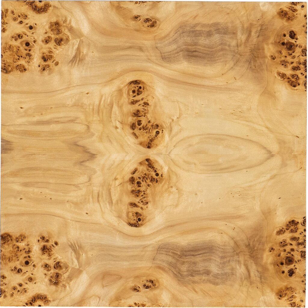 Auberon Burl Drink Table - Image 6